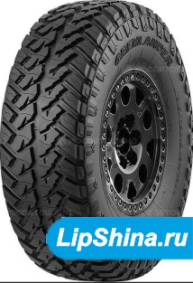 Predator M/T