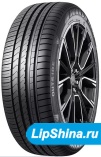 255/40 R18 Winrun R330 99W