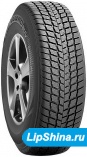255/50 R19 Roadstone Winguard SUV 107V