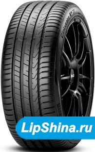 New Cinturato P7