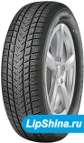 225/45 R17 Gripmax SureGrip eWinter 94V