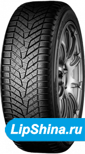 BluEarth*Winter V905