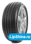 205/55 R16 Delinte DS2 94W